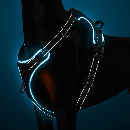 No Pull Dog Harness, Light up Dog Harness There Are 3 Light Modes with Control Handle and Reflective Strap, Adjustable Breathable Dog Vest Suitable for Small, Medium, Large Dogs(S) - NovaGadget